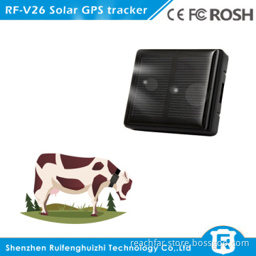 new products mini solar powered cow gps tracker tracking systems price